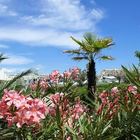 Port Soleil - 2 Pieces Pour 2 Personnes 474 - Naturiste Διαμέρισμα Agde